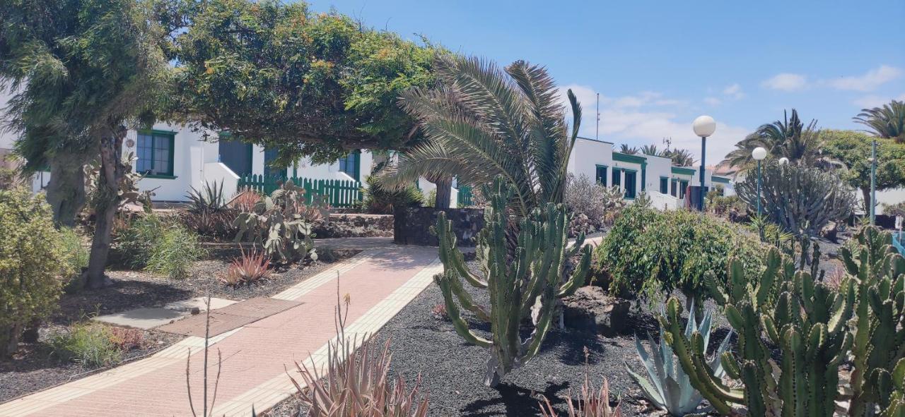 Casa Alice Cocosol Villa Costa De Antigua Eksteriør billede